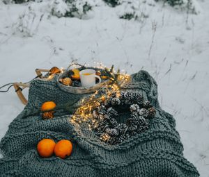 Превью обои пикник, зима, рождество, уют, настроение, лес, снег