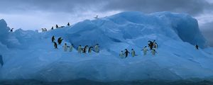 Превью обои пингвины, айсберг, океан