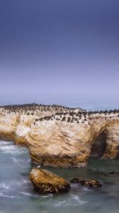 Превью обои пингвины, скала, остров, море, дикая природа