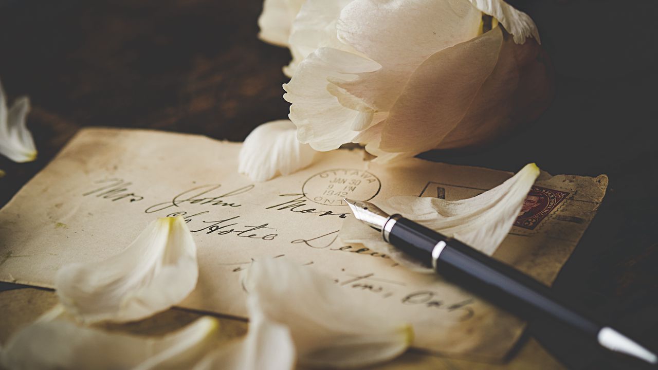 Обои пион, письмо, лепестки, ручка, цветы