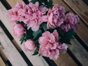 Превью обои пионы, цветы, букет, розовый