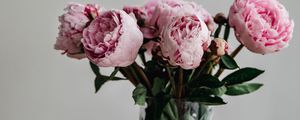 Превью обои пионы, цветы, букет, розовый, ваза