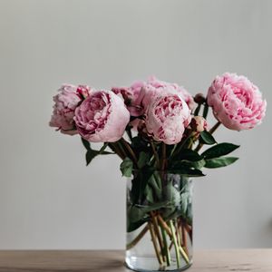Превью обои пионы, цветы, букет, розовый, ваза