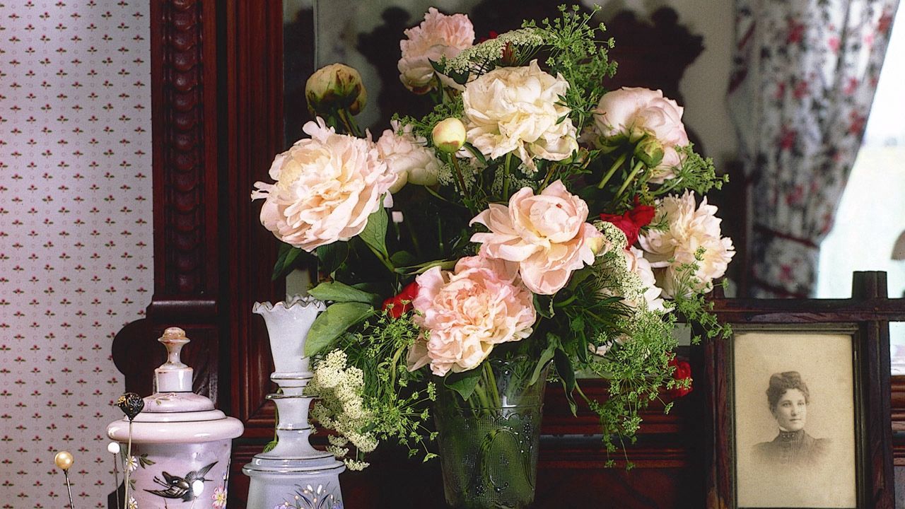 Обои пионы, цветы, букет, ваза, рамка, расческа, раритет, старина