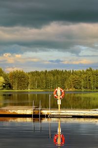 Превью обои пирс, пруд, пейзаж, лес