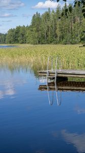 Превью обои пирс, пруд, вода, лес, природа