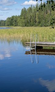 Превью обои пирс, пруд, вода, лес, природа