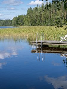 Превью обои пирс, пруд, вода, лес, природа