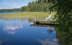 Превью обои пирс, пруд, вода, лес, природа