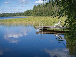 Превью обои пирс, пруд, вода, лес, природа