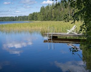 Превью обои пирс, пруд, вода, лес, природа