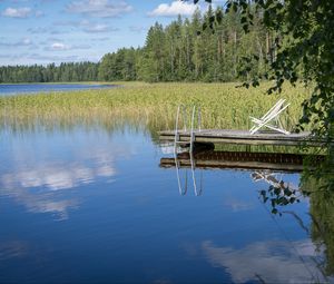 Превью обои пирс, пруд, вода, лес, природа