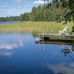 Превью обои пирс, пруд, вода, лес, природа