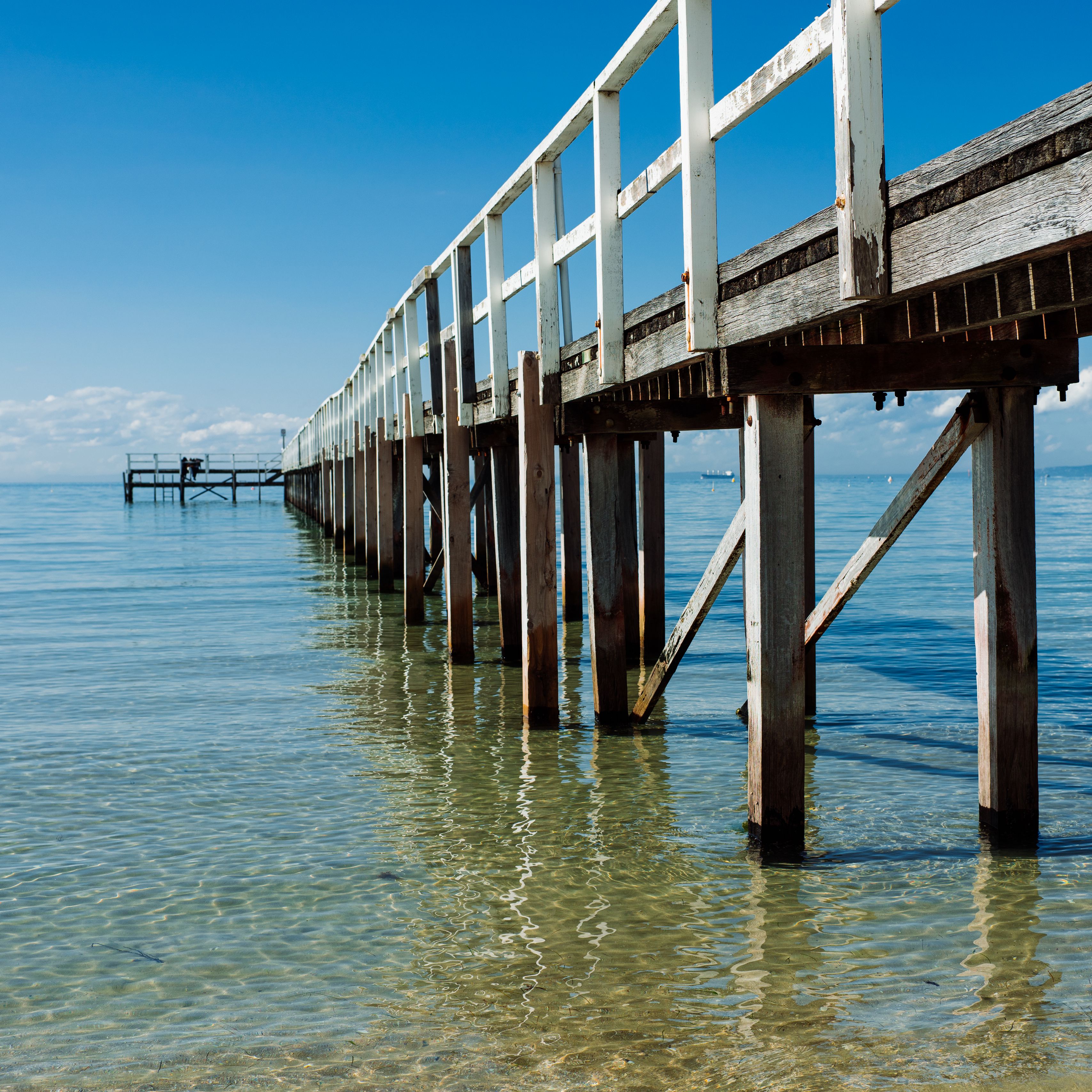 Sea wood. Пирс на Обском море. Сваи в море. Море деревьев. Обои.