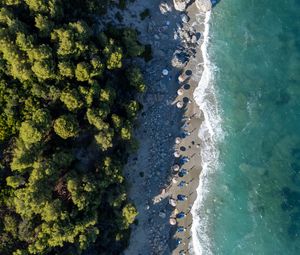 Превью обои пляж, берег, деревья, море, вид сверху