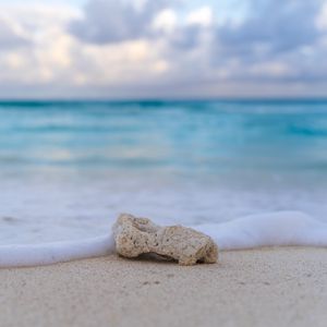 Превью обои пляж, камень, пена, побережье