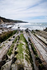 Превью обои пляж, камни, деревья, горы, море, горизонт, пейзаж