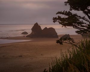 Превью обои пляж, море, деревья, пейзаж, природа