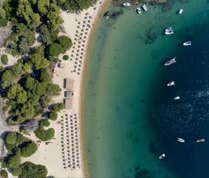 Превью обои пляж, море, лето, вид сверху