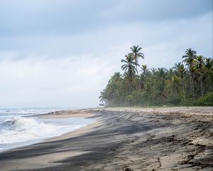 Превью обои пляж, море, пальмы, пейзаж