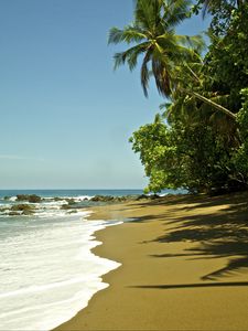 Превью обои пляж, море, пена, пальмы, тропики