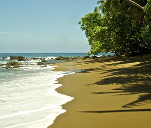 Превью обои пляж, море, пена, пальмы, тропики
