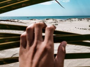 Превью обои пляж, море, рука, песок, листья