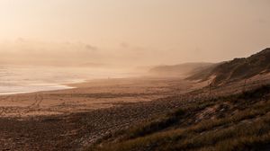 Превью обои пляж, море, туман, птица, пейзаж