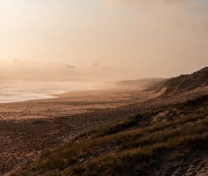 Превью обои пляж, море, туман, птица, пейзаж