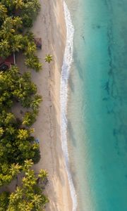 Превью обои пляж, море, вода, пальмы, песок, вид сверху