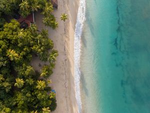 Превью обои пляж, море, вода, пальмы, песок, вид сверху