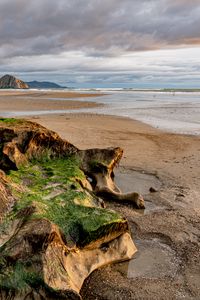 Превью обои пляж, море, вода, горизонт, камни, водоросли