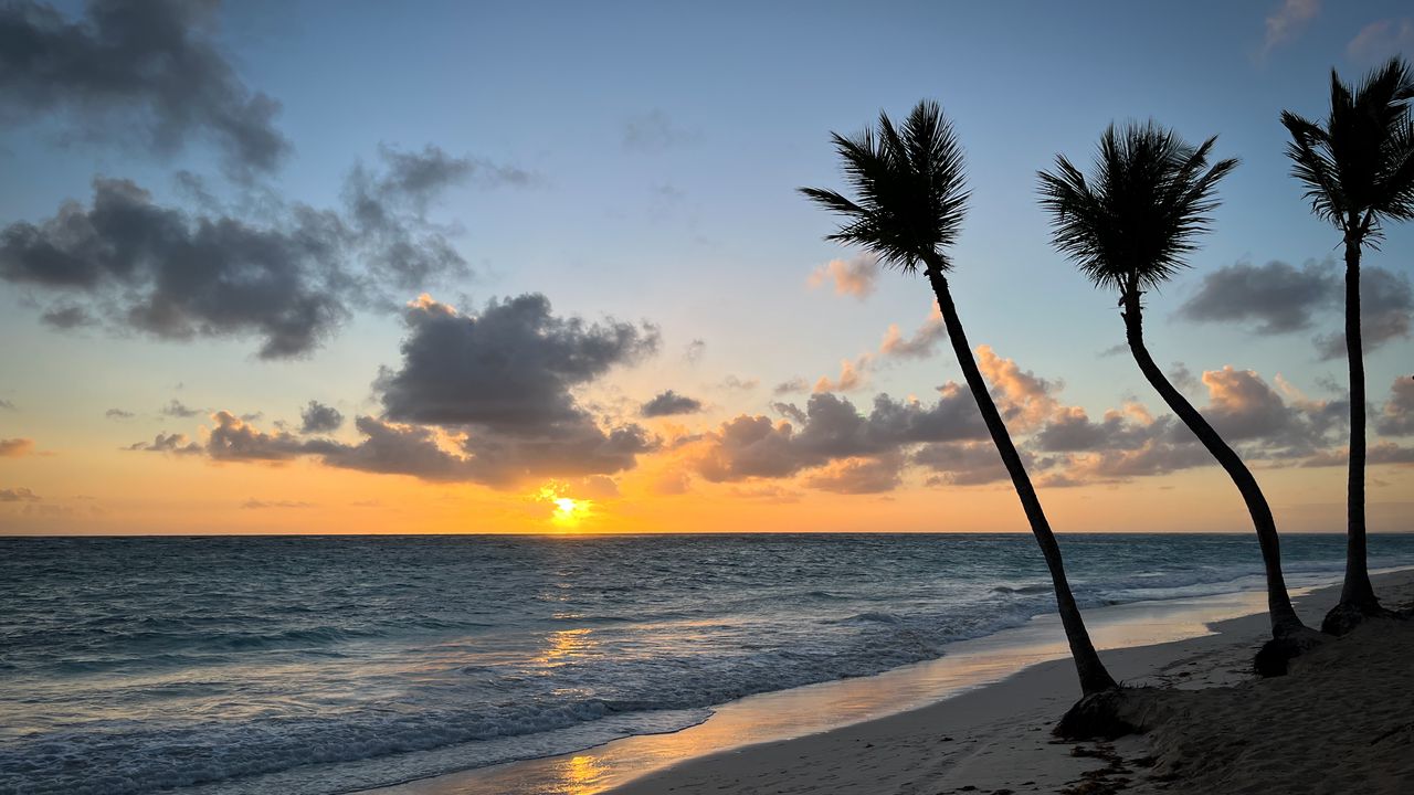 Обои пляж, океан, пальмы, тропики, закат