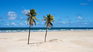 Превью обои пляж, пальмы, песок, море, лето
