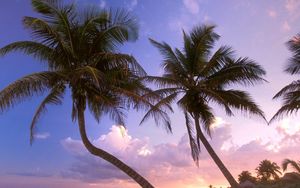 Превью обои пляж, пальмы, песок, небо, закат