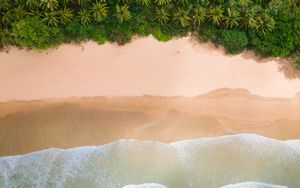 Превью обои пляж, пальмы, побережье, волны