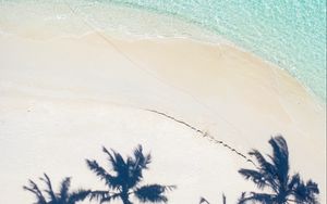 Превью обои пляж, пальмы, вид сверху, тень, песок, вода