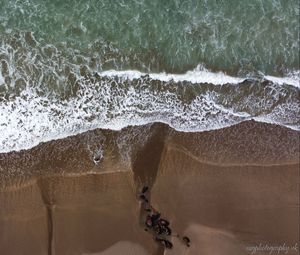 Превью обои пляж, песок, море, вид сверху