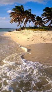 Превью обои пляж, песок, море, пальма
