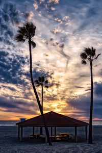 Превью обои пляж, песок, пальмы, тропики, небо, облака