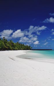 Превью обои пляж, песок, пальмы, остров, тропический, мальдивы