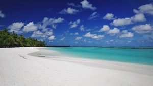 Превью обои пляж, песок, пальмы, остров, тропический, мальдивы