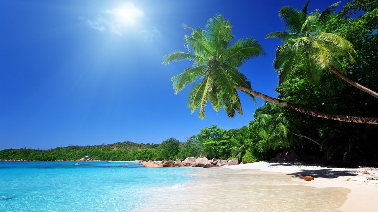 Обои пляж, песок, пальмы, тропики