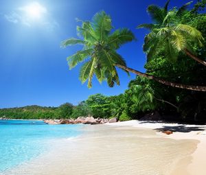 Превью обои пляж, песок, пальмы, тропики