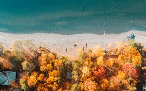 Превью обои пляж, побережье, вид сверху, море, деревья