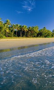 Превью обои пляж, тропики, море, песок, пальмы, пена
