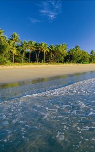 Превью обои пляж, тропики, море, песок, пальмы, пена