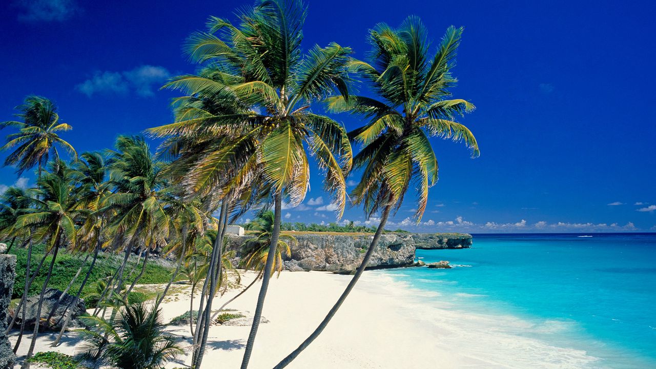 Обои пляж, тропики, море, песок, пальмы, красиво