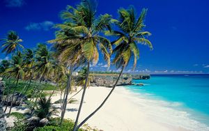 Превью обои пляж, тропики, море, песок, пальмы, красиво