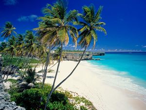 Превью обои пляж, тропики, море, песок, пальмы, красиво